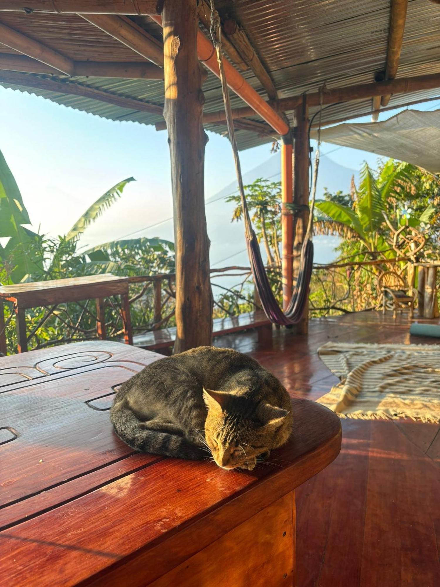 Pensjonat Earthship Atitlan San Marcos La Laguna Zewnętrze zdjęcie